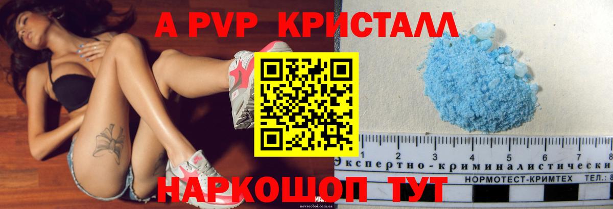Alfa_PVP СК КРИС Вятские Поляны
