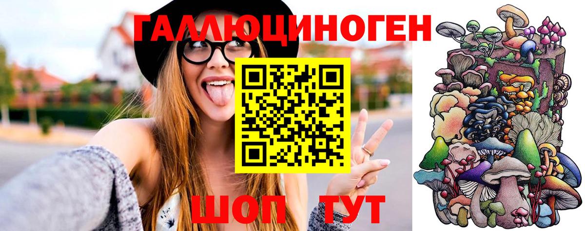 Вятские Поляны  Галлюциногенные грибы MAGIC MUSHROOMS  Вход с VPN 